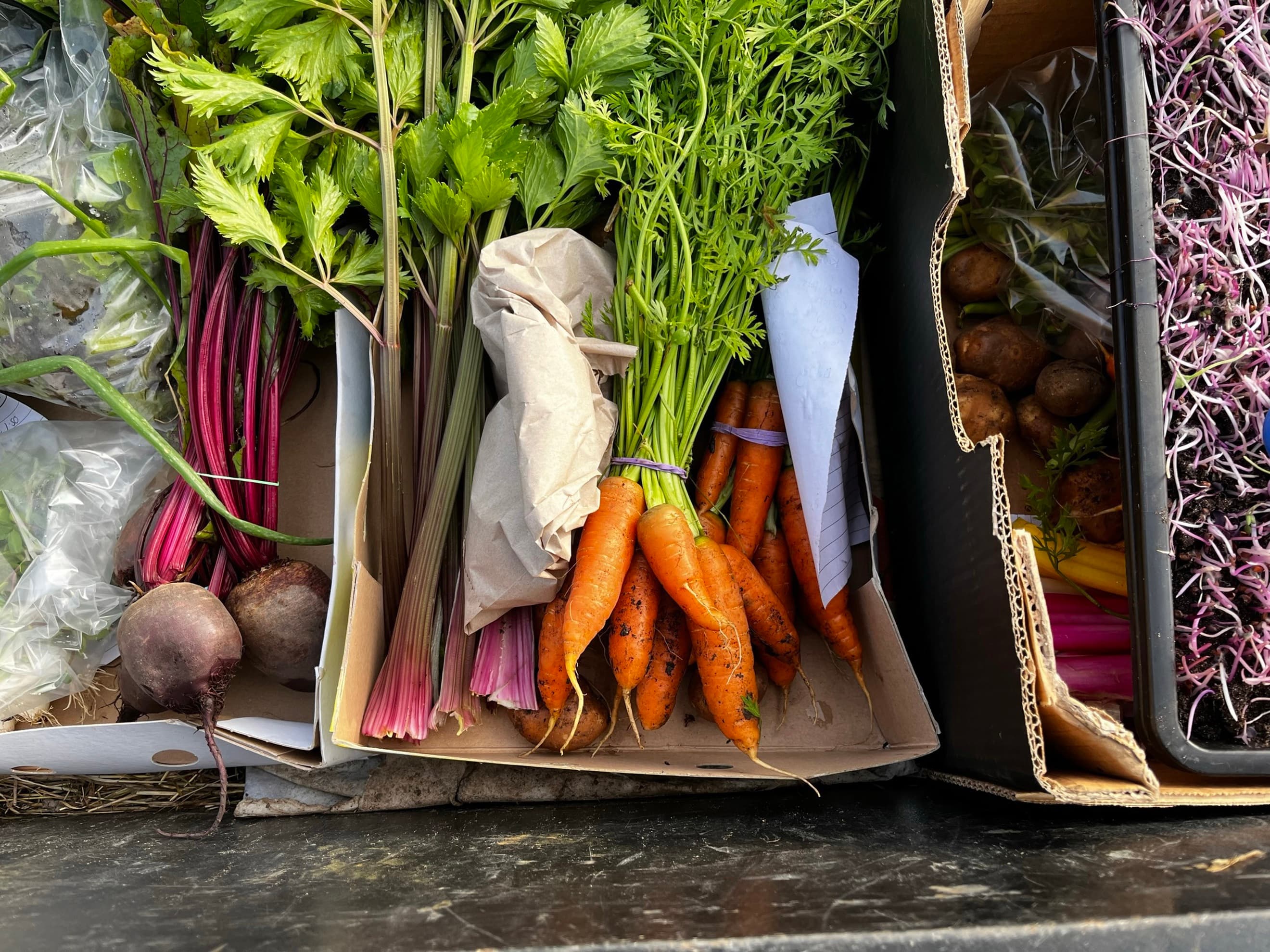 Medium Seasonal Veg Box