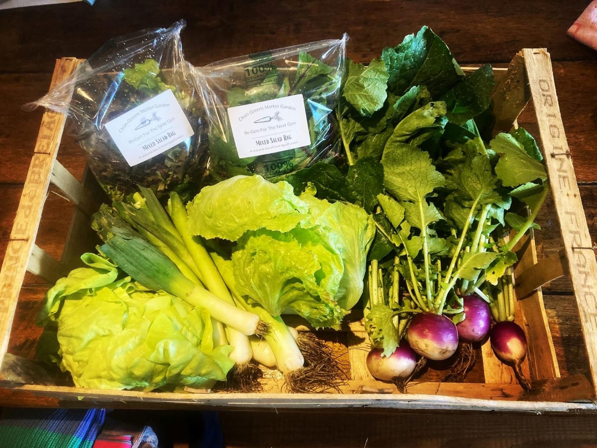Standard Seasonal Veg Box
